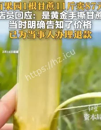 一根甘蔗卖87元